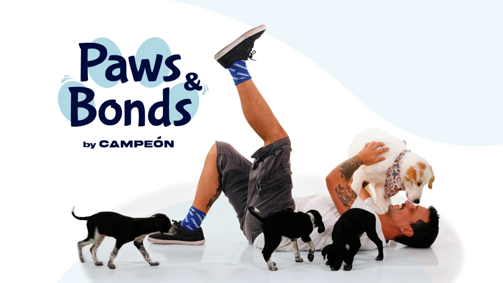 Paws And Bonds Lifestyle Dogs Pets